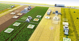 ai_agro_310.jpg