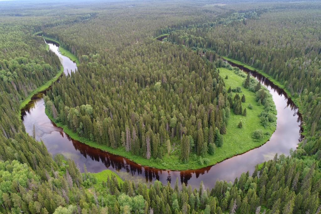 Оценка