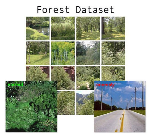 Лесные данные (датасет)